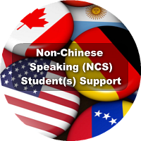 為非華語學生提供的教育支援-學校支援摘要(中文版)